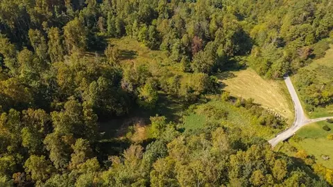lot2 Twin Falls Rd, Copper Hill, VA 24079
