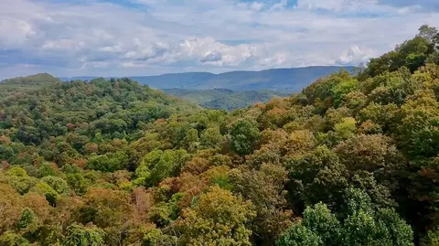 tbd Stoney Ridge Rd, Tazewell, VA 24605