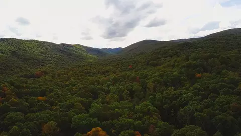 lot88 Nye Valley Rd - Cove Crk, Bastian, VA 24314