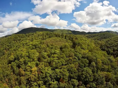 tbd Hogan Hollow Rd, Troutville, VA 24145