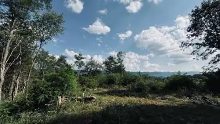 0 Tbd Martins Farm Rd, Cedar Bluff, VA 24609
