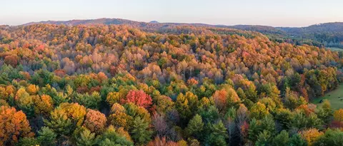 tbd Shady Grove Rd, Indian Valley, VA 24380