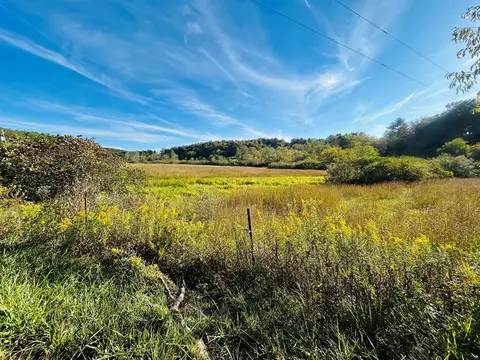 tbd Mira Fork Rd, Willis, VA 24380