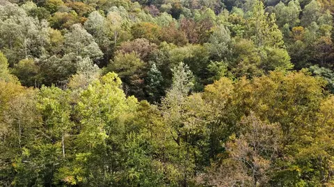tbd Homecreek Rd, Grundy, VA 24614