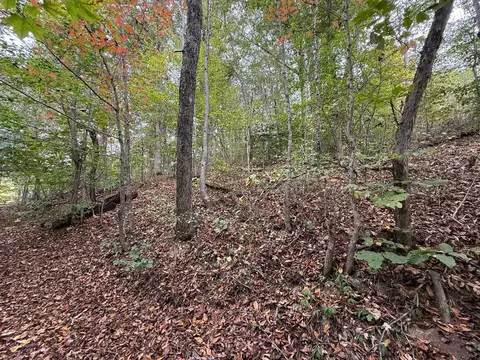 tbd Highland Ave, Richlands, VA 24641