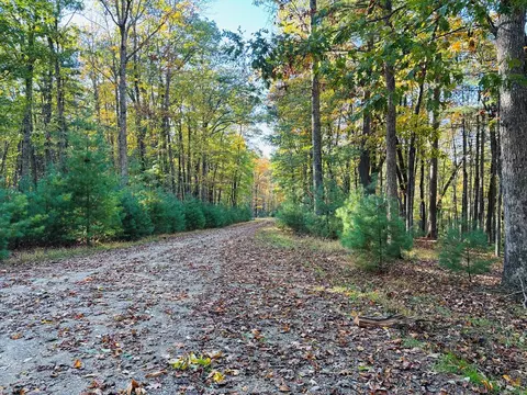 tbd Cove Ln, Woodlawn, VA 24381