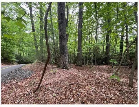 00 Old Hollow Tr, Fancy Gap, VA 24328
