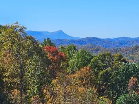 lot Apt 12 Mayito Ln, Mouth Of Wilson, VA 24363
