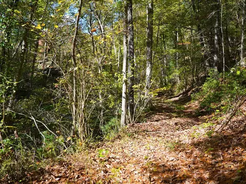 tbd Old Fire Tower Ln, Penhook, VA 24137 photo 3