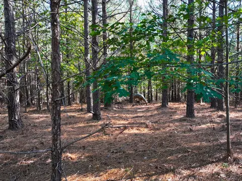 tbd Old Fire Tower Ln, Penhook, VA 24137 photo 24
