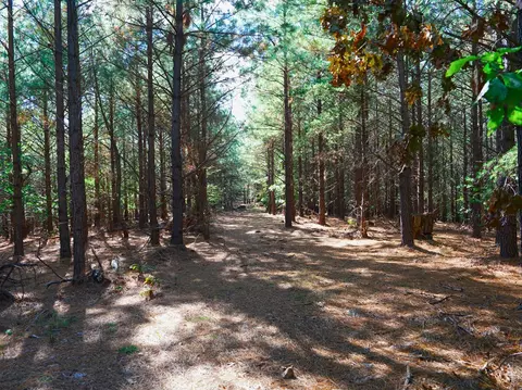 tbd Old Fire Tower Ln, Penhook, VA 24137 photo 19