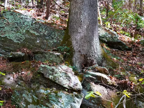 tbd Old Fire Tower Ln, Penhook, VA 24137 photo 33