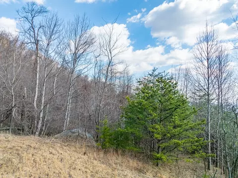 50 Acres Spring Valley Rd, Fancy Gap, VA 24328 photo 46