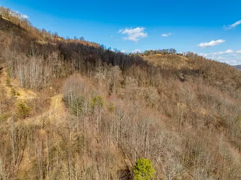 50 Acres Spring Valley Rd, Fancy Gap, VA 24328 photo 57
