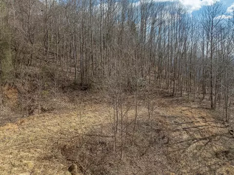 50 Acres Spring Valley Rd, Fancy Gap, VA 24328 photo 52