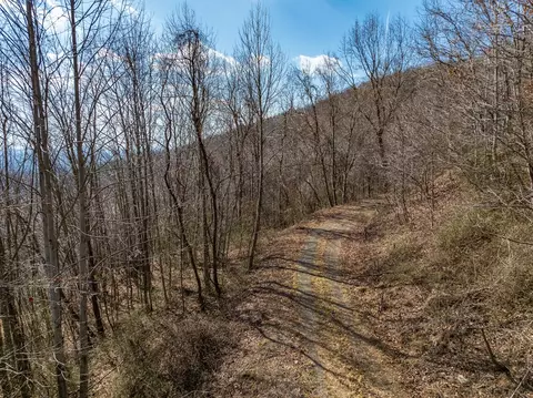 50 Acres Spring Valley Rd, Fancy Gap, VA 24328 photo 77