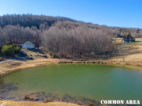 50 Acres Spring Valley Rd, Fancy Gap, VA 24328 photo 95