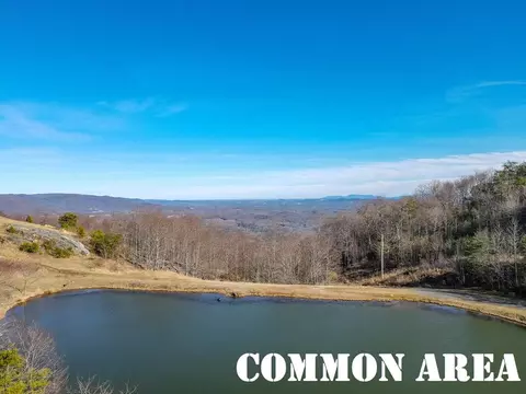 50 Acres Spring Valley Rd, Fancy Gap, VA 24328 photo 92