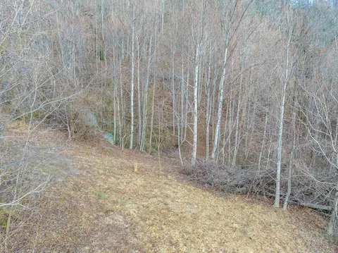 50 Acres Spring Valley Rd, Fancy Gap, VA 24328 photo 41
