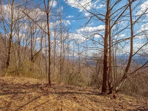 50 Acres Spring Valley Rd, Fancy Gap, VA 24328 photo 18