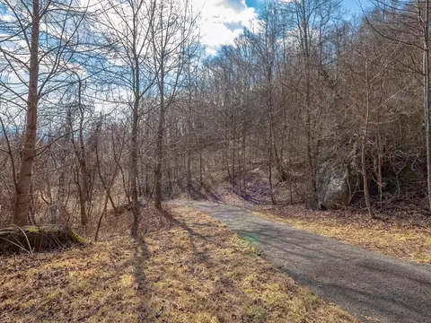 50 Acres Spring Valley Rd, Fancy Gap, VA 24328 photo 17