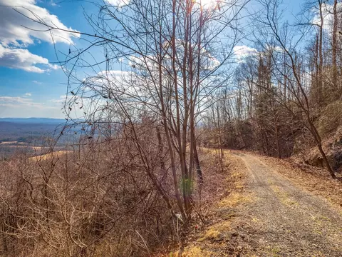 50 Acres Spring Valley Rd, Fancy Gap, VA 24328 photo 19