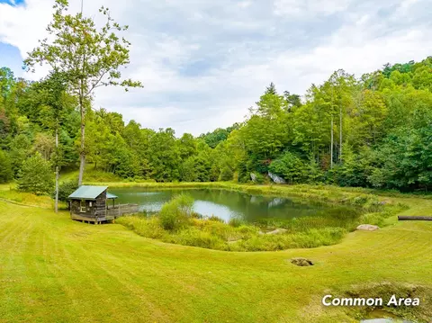 50 Acres Spring Valley Rd, Fancy Gap, VA 24328 photo 84