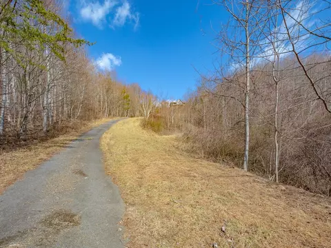 50 Acres Spring Valley Rd, Fancy Gap, VA 24328 photo 15