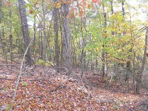 tbd Granite Ln, Chilhowie, VA 24319