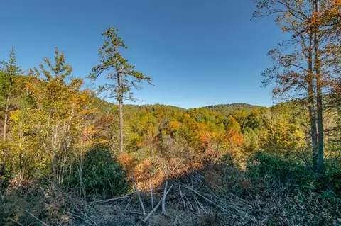 lot22 Starry Nights Dr, Fancy Gap, VA 24328