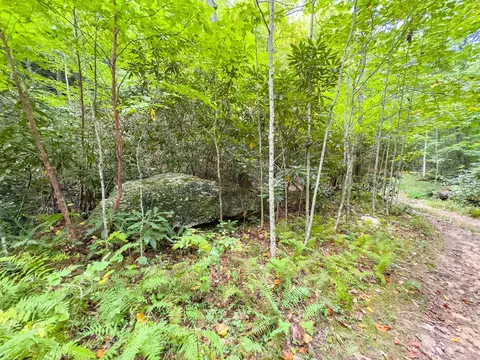 6 Lots Old Pond Trl, Fancy Gap, VA 24328 photo 35