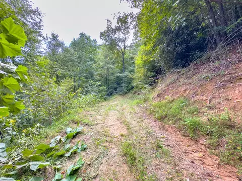6 Lots Old Pond Trl, Fancy Gap, VA 24328 photo 36