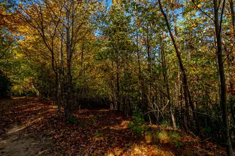 6 Lots Old Pond Trl, Fancy Gap, VA 24328 photo 11
