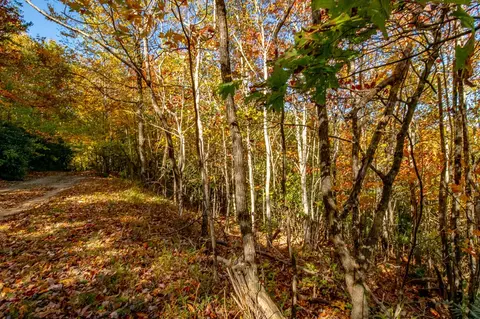 6 Lots Old Pond Trl, Fancy Gap, VA 24328 photo 8
