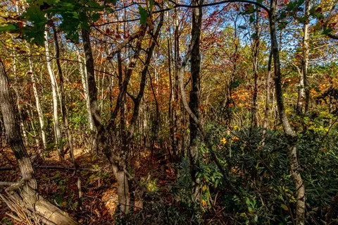 6 Lots Old Pond Trl, Fancy Gap, VA 24328 photo 9