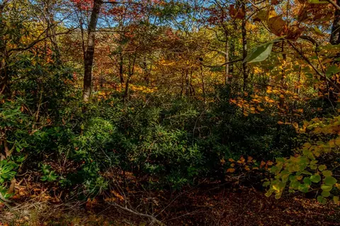 6 Lots Old Pond Trl, Fancy Gap, VA 24328 photo 4