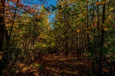 6 Lots Old Pond Trl, Fancy Gap, VA 24328 photo 12