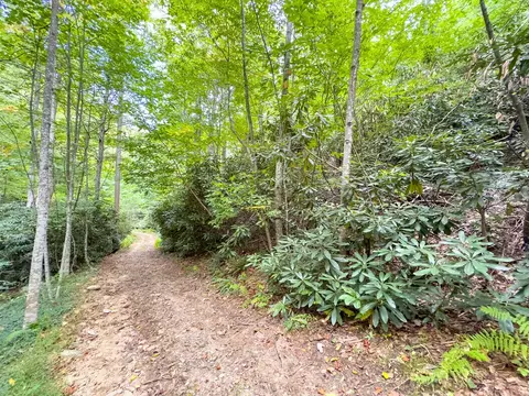 6 Lots Old Pond Trl, Fancy Gap, VA 24328 photo 14