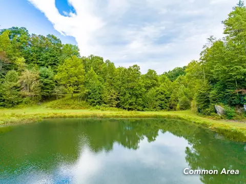 6 Lots Old Pond Trl, Fancy Gap, VA 24328 photo 41