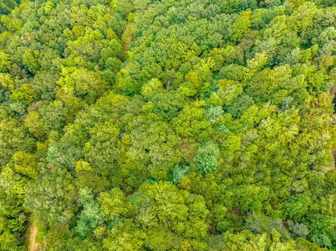 6 Lots Old Pond Trl, Fancy Gap, VA 24328 photo 33