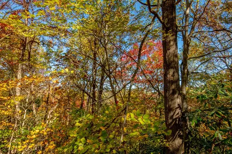 6 Lots Old Pond Trl, Fancy Gap, VA 24328 photo 5