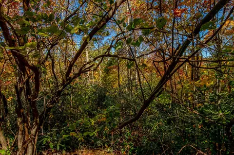 6 Lots Old Pond Trl, Fancy Gap, VA 24328 photo 7