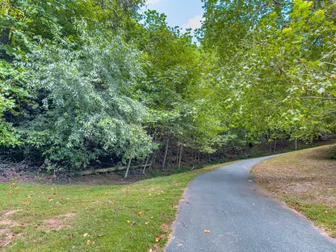 3 Lots Old Pond Trl, Fancy Gap, VA 24328 photo 17