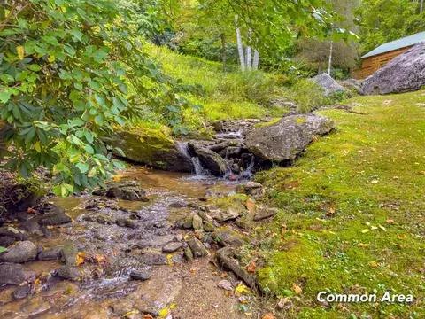 3 Lots Old Pond Trl, Fancy Gap, VA 24328 photo 47