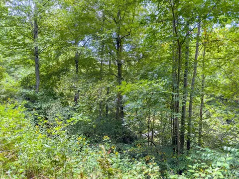 3 Lots Old Pond Trl, Fancy Gap, VA 24328 photo 10