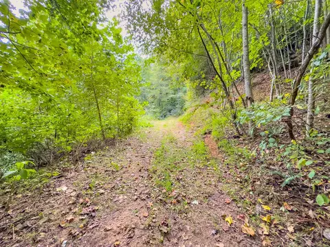 3 Lots Old Pond Trl, Fancy Gap, VA 24328 photo 8