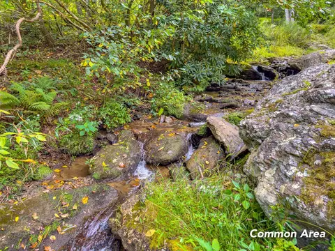 3 Lots Old Pond Trl, Fancy Gap, VA 24328 photo 46