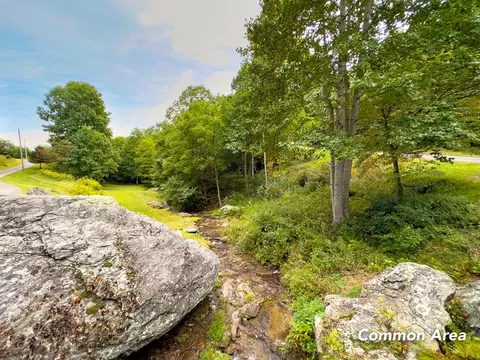 3 Lots Old Pond Trl, Fancy Gap, VA 24328 photo 57