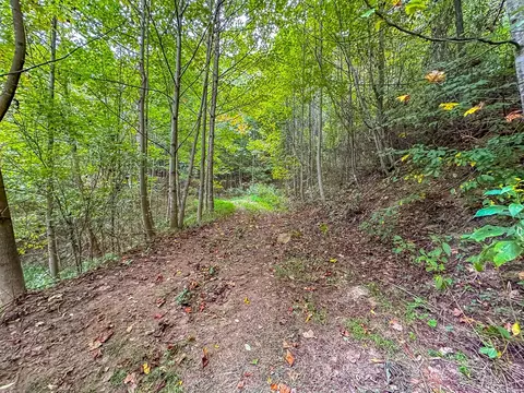 3 Lots Old Pond Trl, Fancy Gap, VA 24328 photo 6