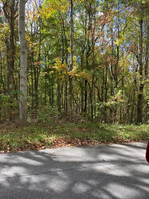 tbd Stinson Rdg, Jewell Ridge, VA 24622